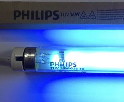 Bóng Đèn UV Philips 36W